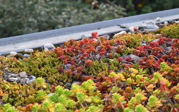 the cost of Westmill green roof installation