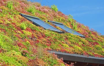 Westmill living roof systems